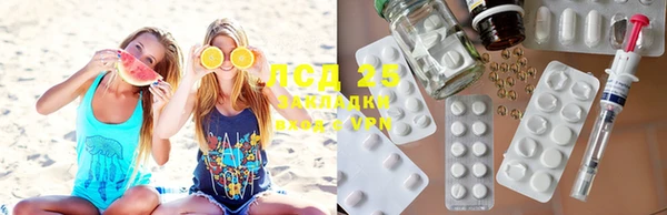 стафф Алексин